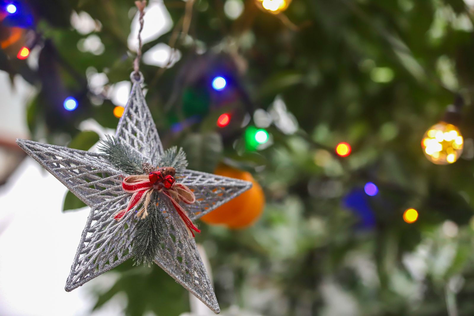 La Navidad llega a los Patios de Córdoba