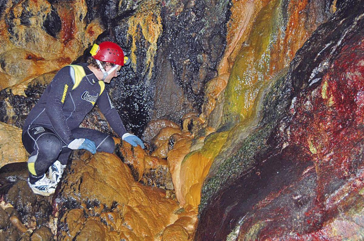 Un laboratorio natural único por tierra, mar y aire