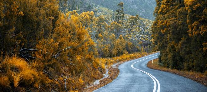 Tasmania