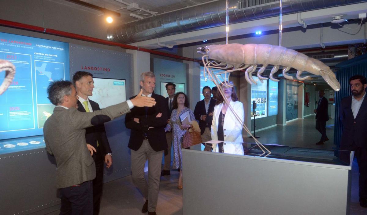 Una visita del presidente de la Xunta, Alfonso
Rueda, a las instalaciones del Pescanova Biomarine
Center, en O Grove. |  Noé  Parga