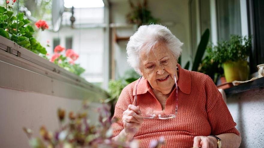 Una mala conexión entre el aparato digestivo y el cerebro empeora la memoria