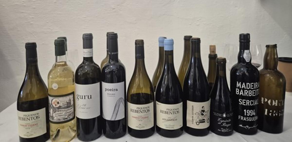 Vinos de la cata con Dirk Niepoort.