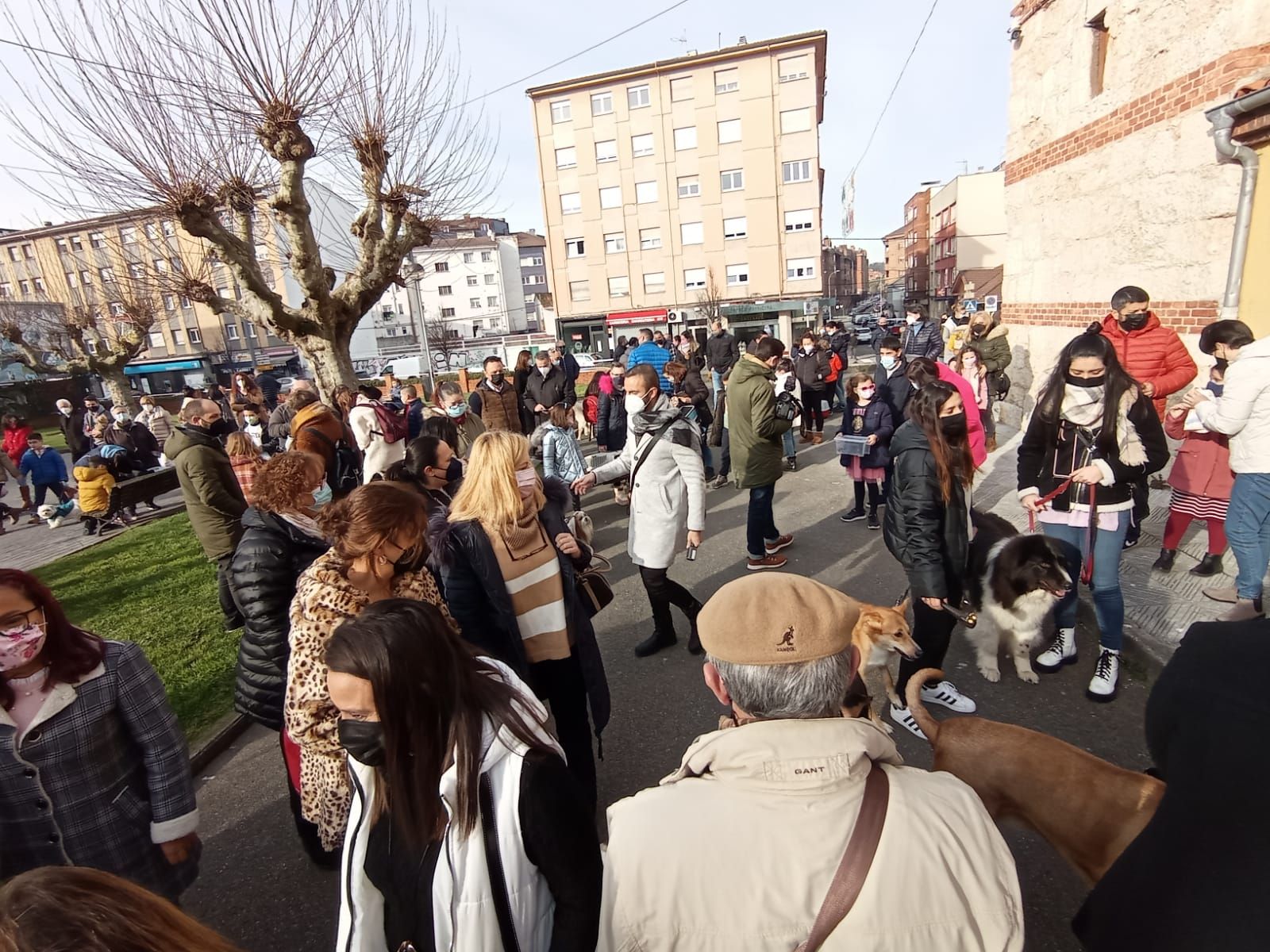 Gallos, cobayas y hasta bichos palo, así fue la bendición de las mascotas por San Antón en Lugones