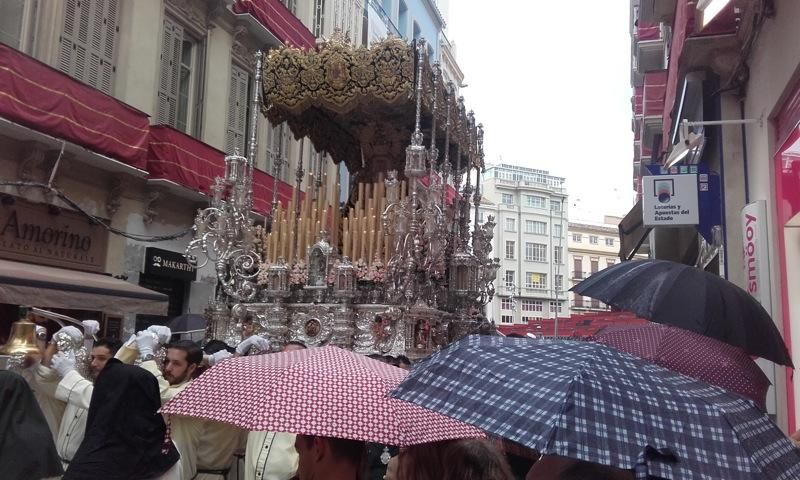 Domingo de Ramos de 2016 | Lágrimas y Favores