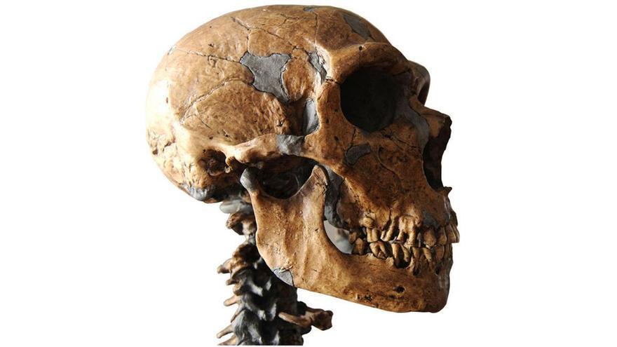 El coruñés César de la Fuente halla el ‘parque jurásico’ de la farmacia: antibióticos en los neandertales