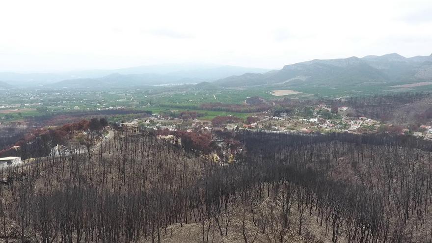 Zona de interfaz urbano-forestal arrasada por un incendio.