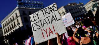 Ley Trans: Tan esperada como polémica