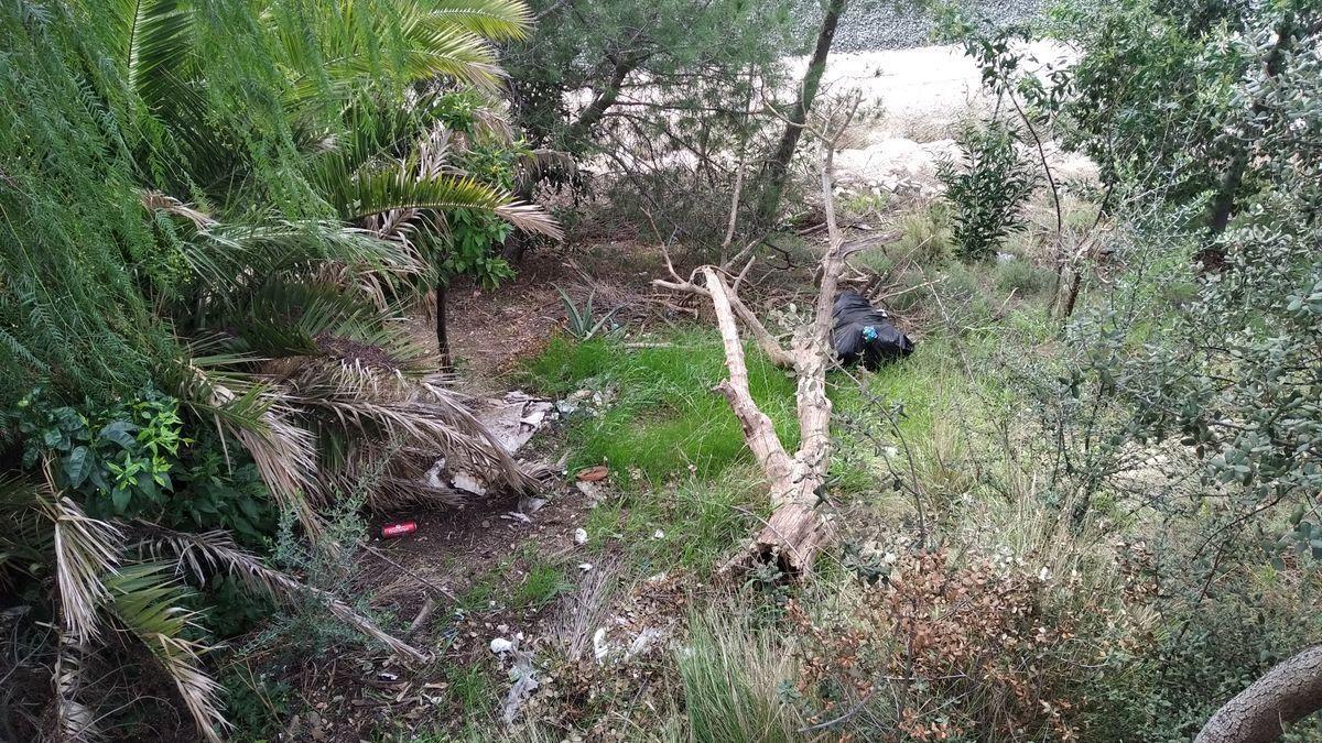 Un árbol desplomado y bolsas de basura en el talud