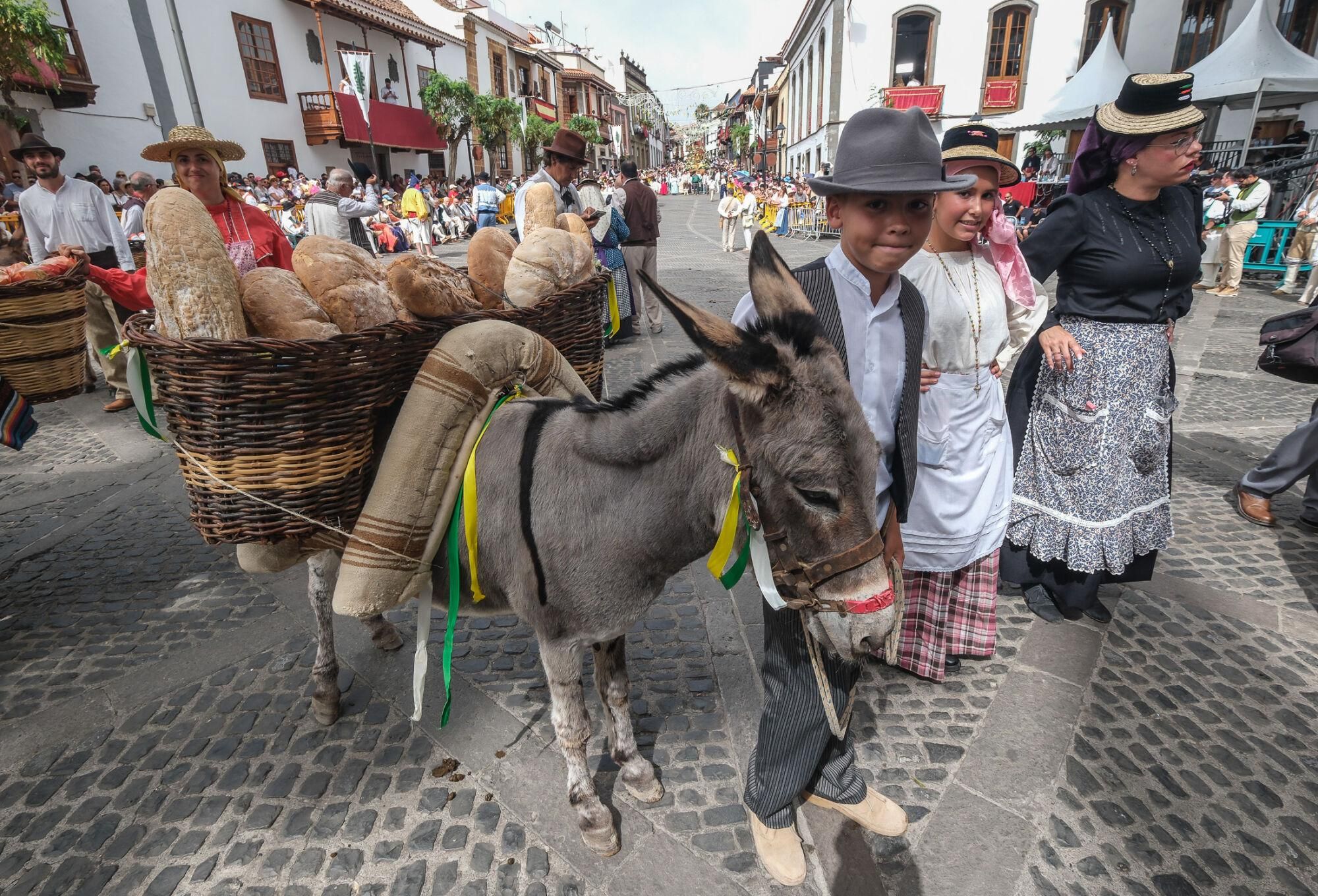 Representación del Cabildo de Gran Canaria en la Romería del Pino.