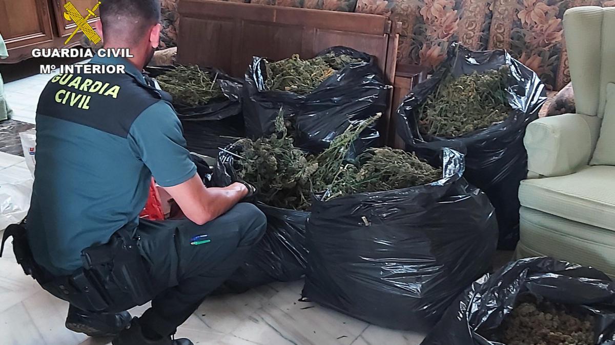 Encuentran marihuana oculta en muebles en un almacén de antigüedades de Totana