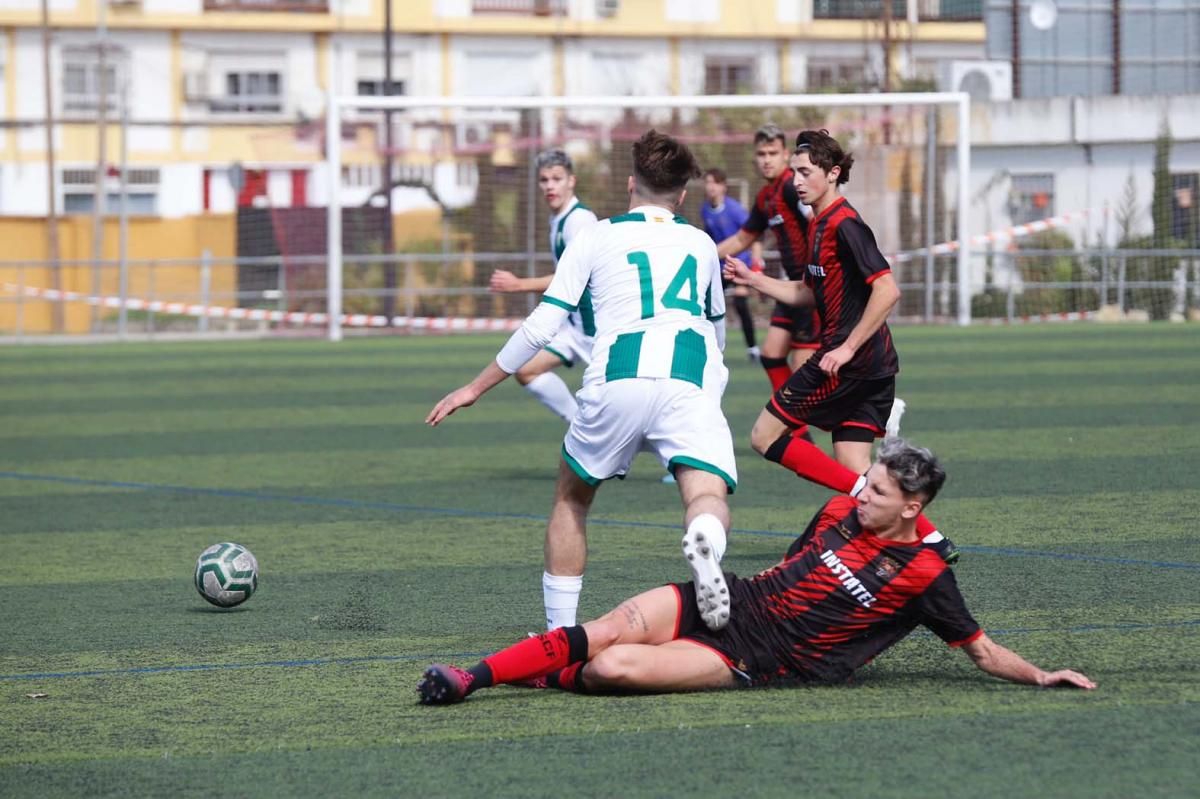 Séneca-Córdoba. Derbi de la División de Honor Juvenil.