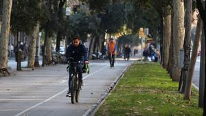 BARCELONA 29/12/2018 SOCIEDAD BARCELONA PATINETES COMPARTIENDO CARRIL DE BICI CON BICICLETAS Y BICICLETAS EN LAS ACERAS ESTRECHAS FOTO : ELISENDA PONS