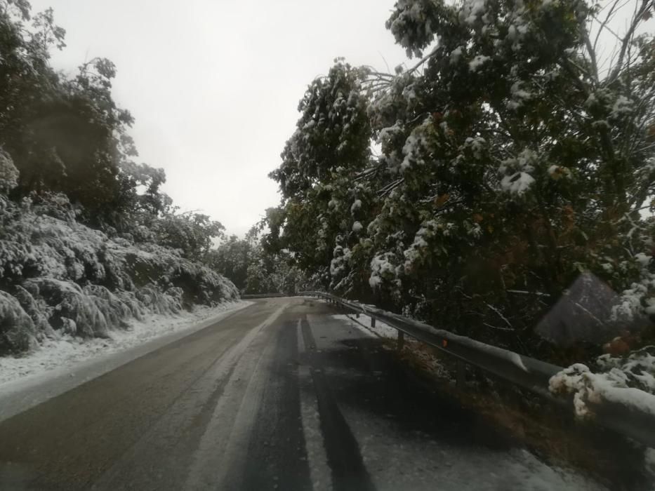 Primeras nevadas en Sanabria