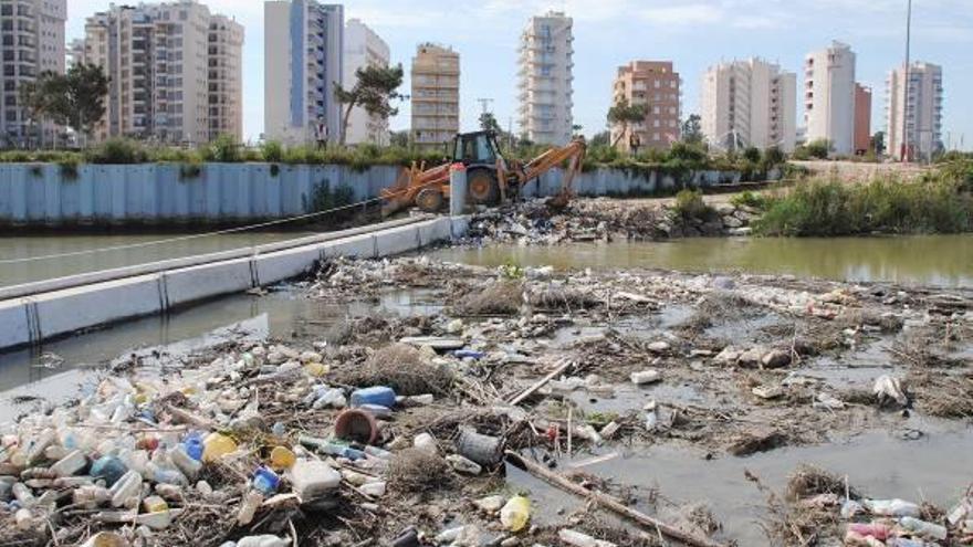 Tareas de limpieza de residuos sólidos que lleva a cabo la CHS en el río Segura a su paso por Guardamar en la jornada de ayer.