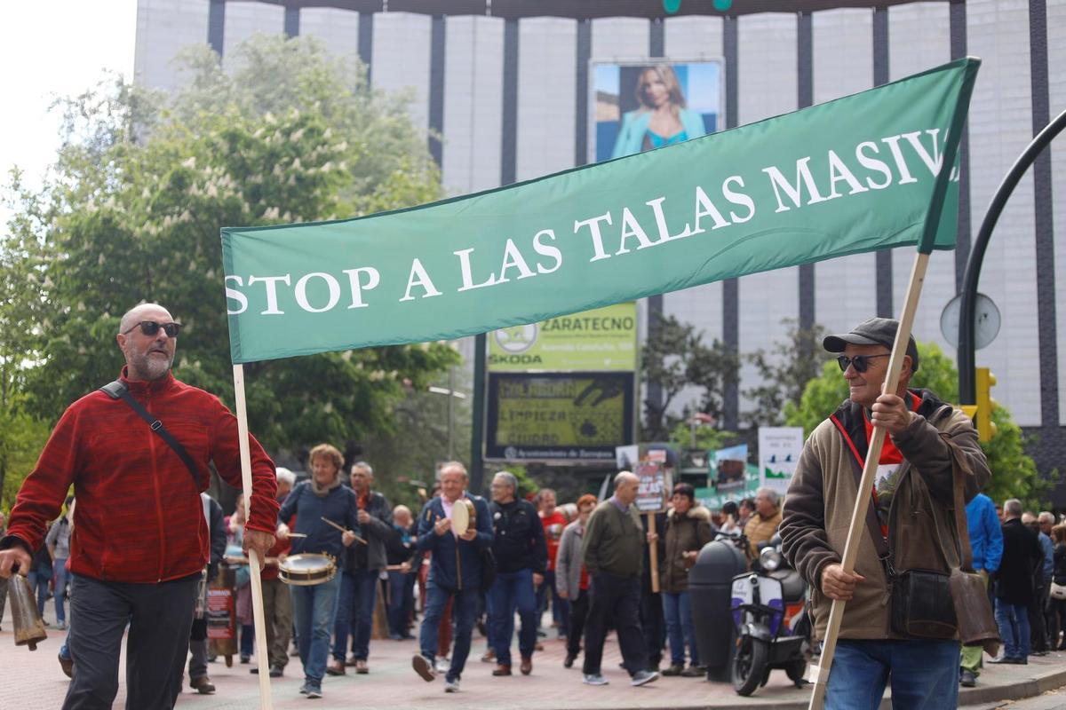 Fotogalería | Manifestación contra la tala masiva de árboles en los ...