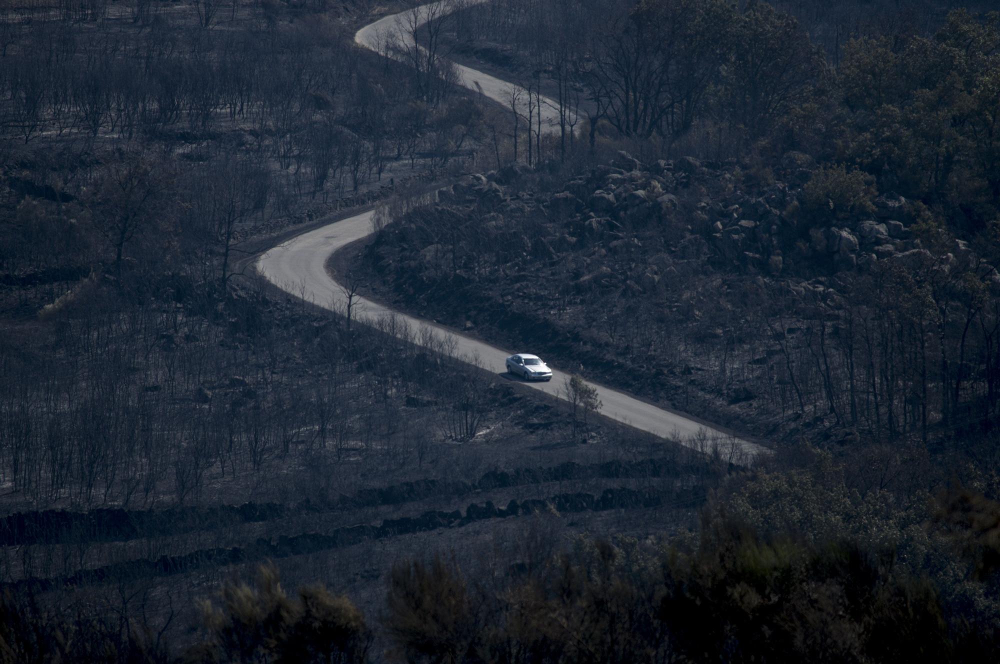 Monte arrasado por el fuego en Monterrei, en 2020.