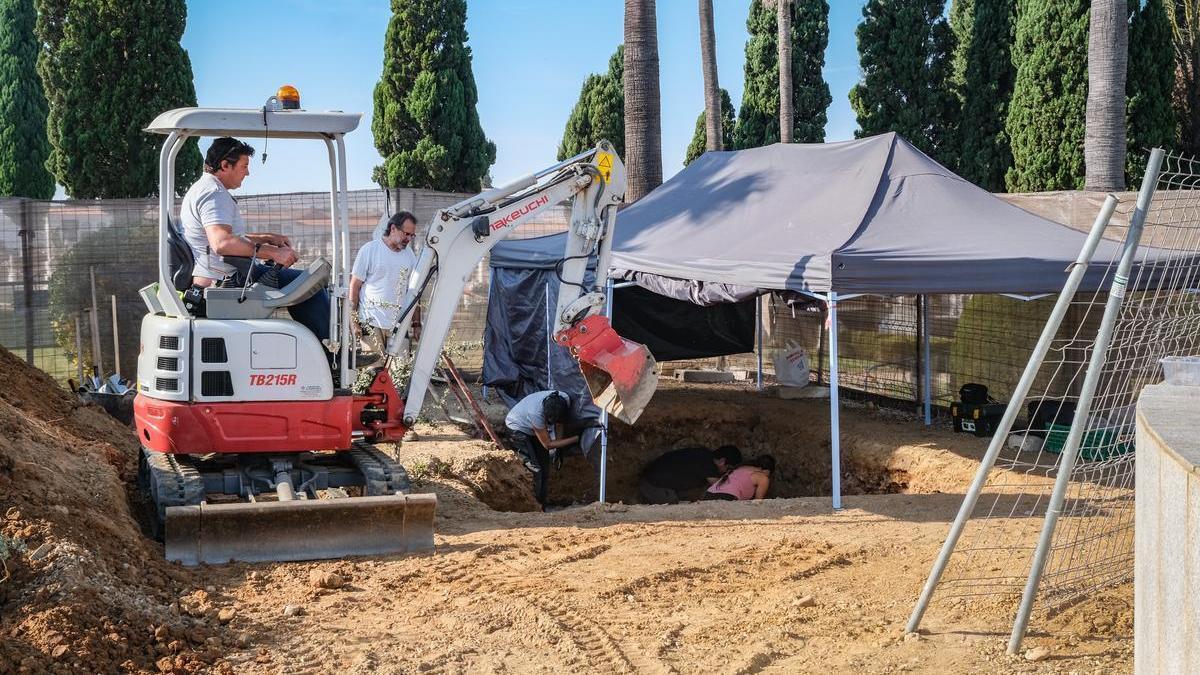 Máquina excavadora que retiraba la tierra hasta llegar a los huesos.