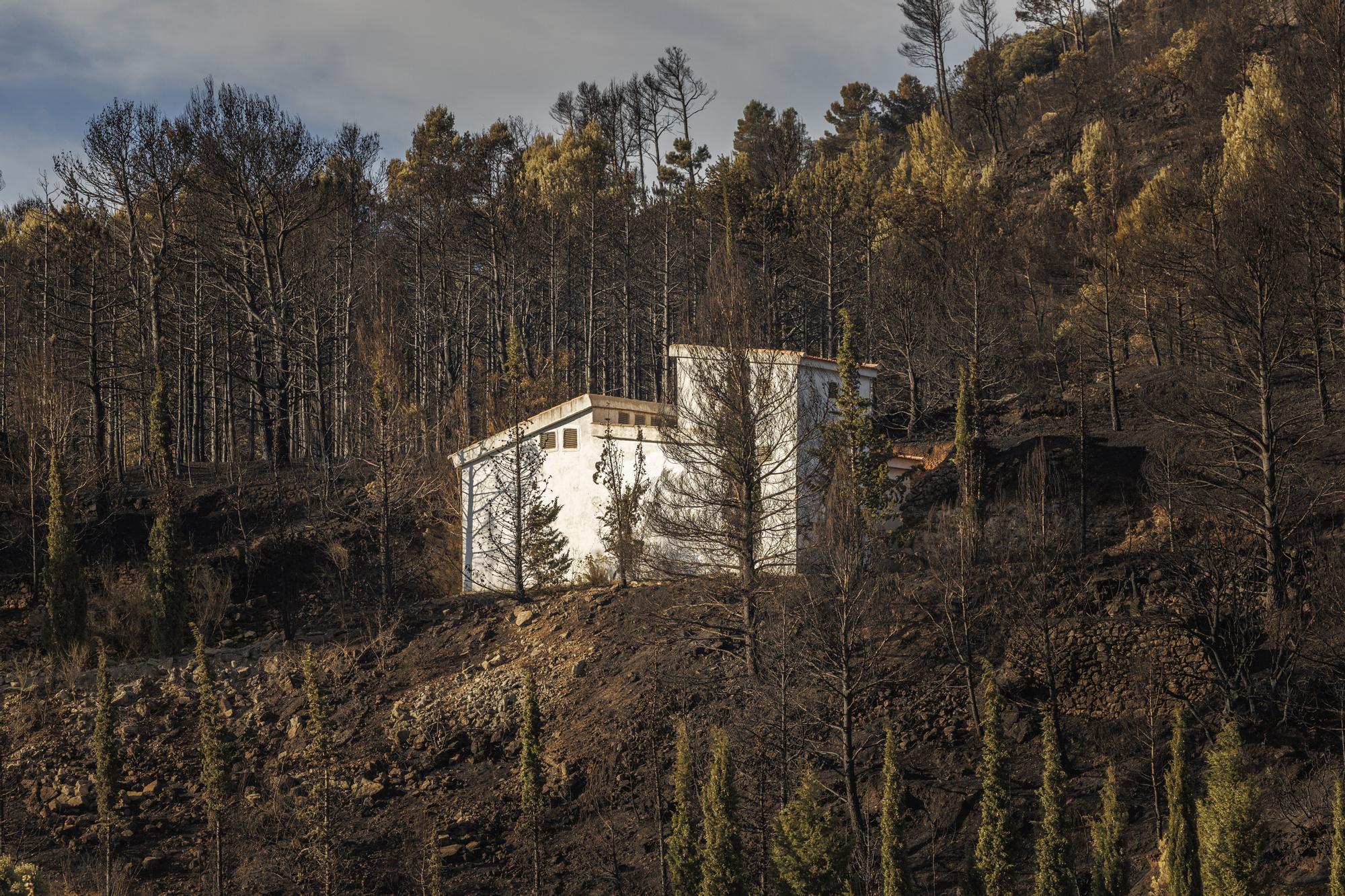 La lluvia reduce la llama del incendio de Bejís hasta casi desaparecer