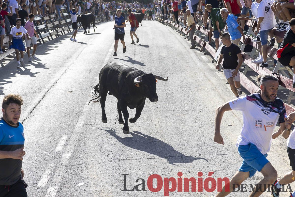 Sexo encierro de la Feria Taurina del Arroz, con la ganadería de Galache, que se ha saldado con un herido por asta de toro