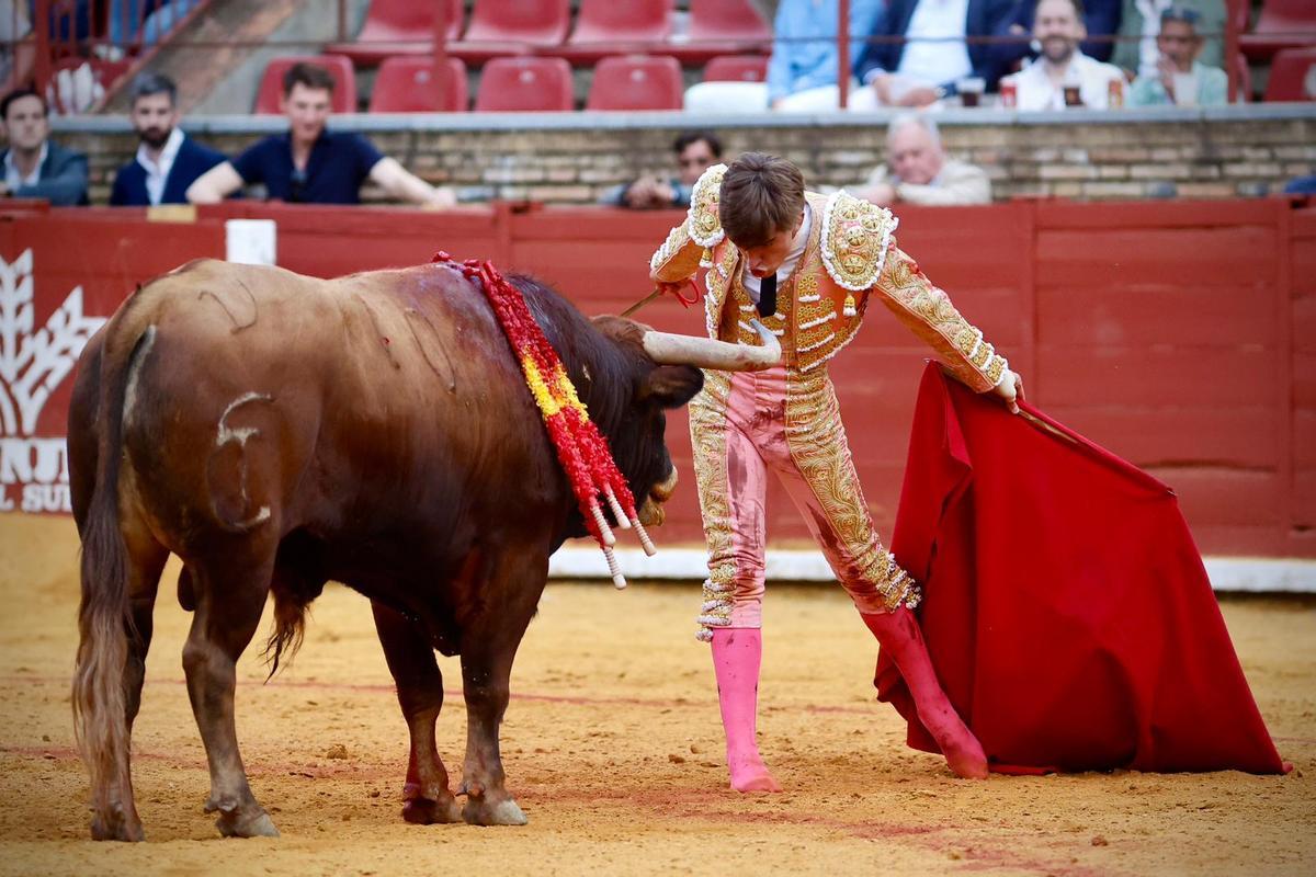 La novillada de Córdoba, en imágenes La novillada de Córdoba, en imágenes