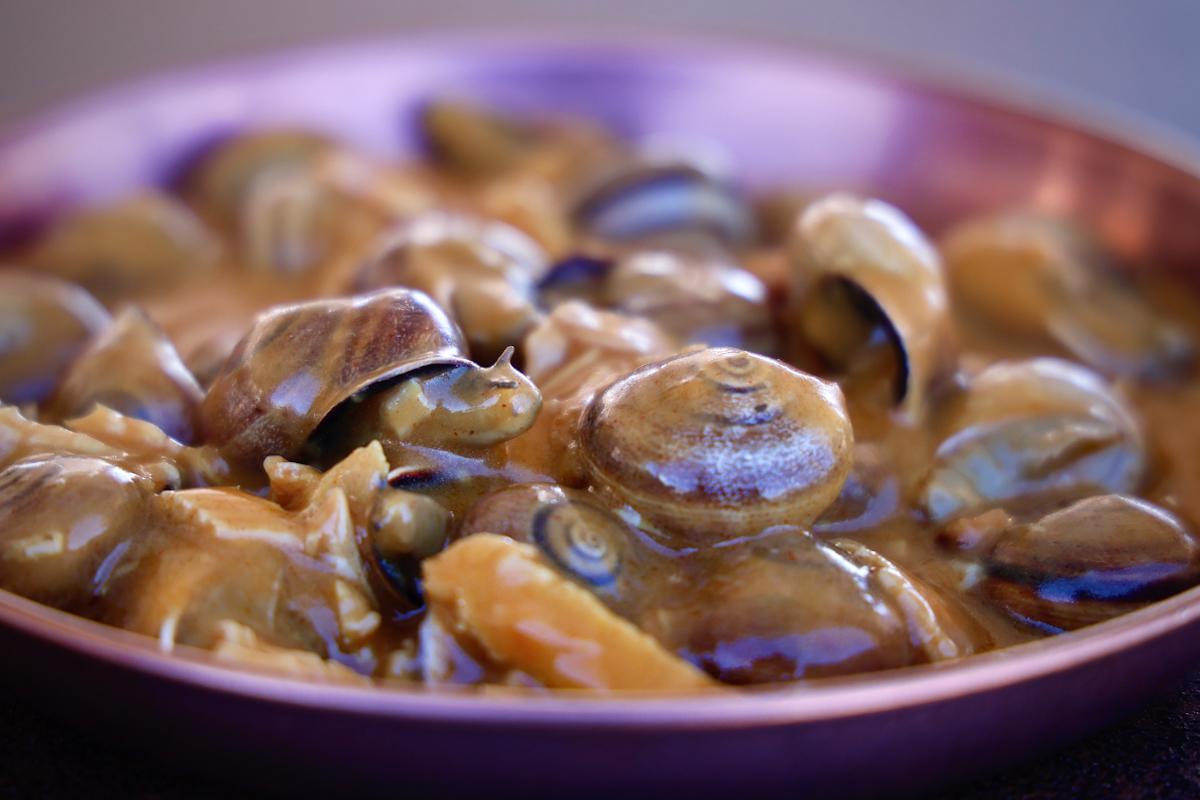 El comienzo de la temporada de caracoles en Córdoba, en imágenes