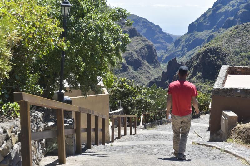 Inauguración del camino de las bestias en Ingenio