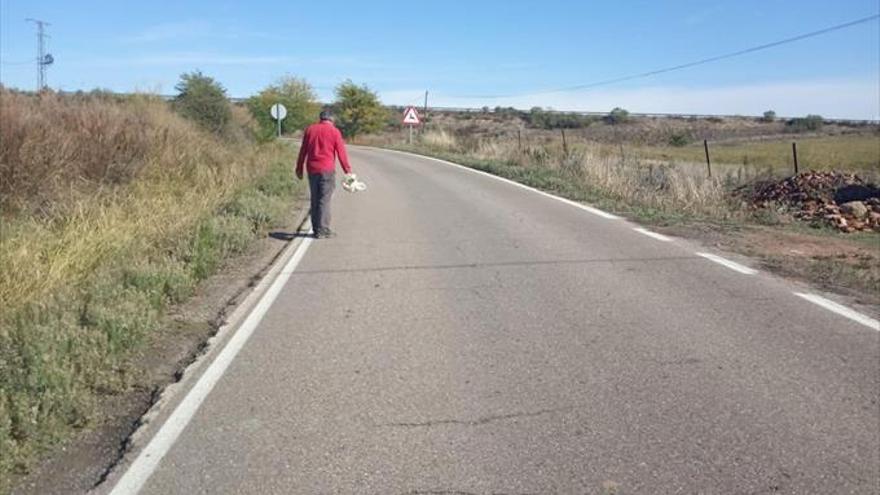 Los vecinos reclaman más seguridad vial en la carretera CC-43, del Guijo a Coria