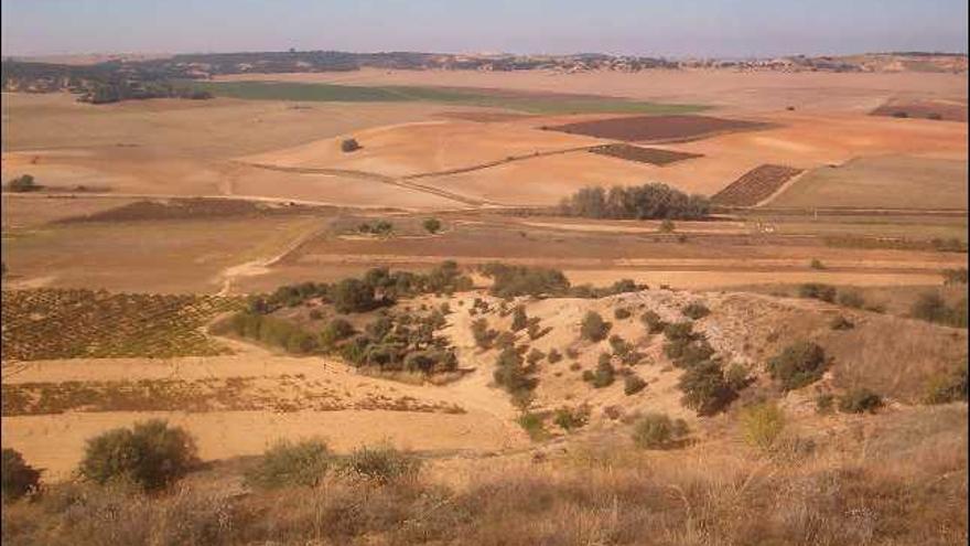 Campos de Almeida de Sayago sobre los que se lleva adelante la concentración parcelaria