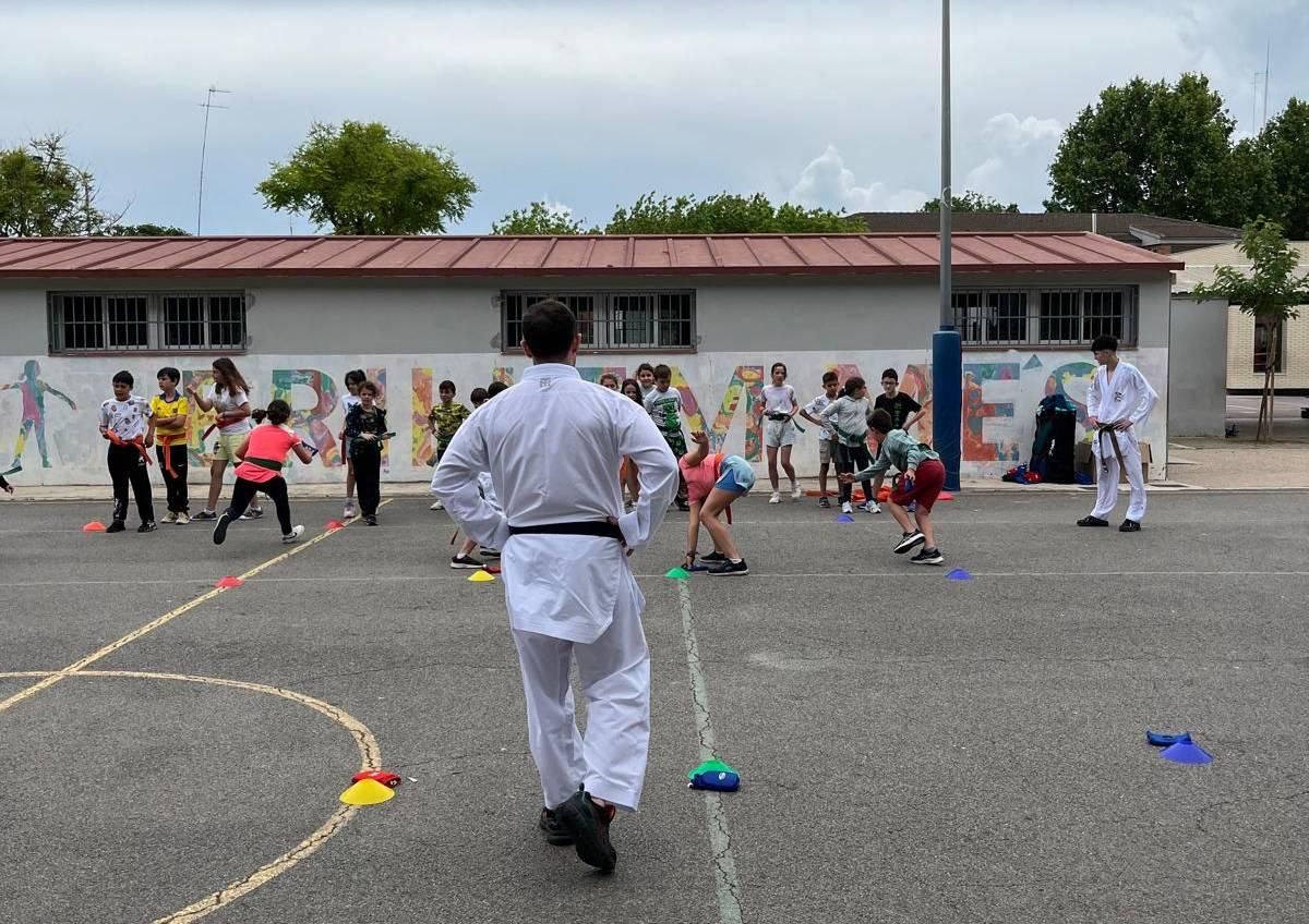 A través de este programa. impulsado por la Fundación Trinidad Alfonso, más de 23.000 escolares de 308 centros de toda la Comunitat se han iniciado en 22 nuevas disciplinas deportivas.