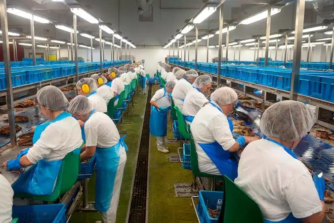 Las restricciones de la UE disparan la dependencia gallega de la pesca "ilegal"