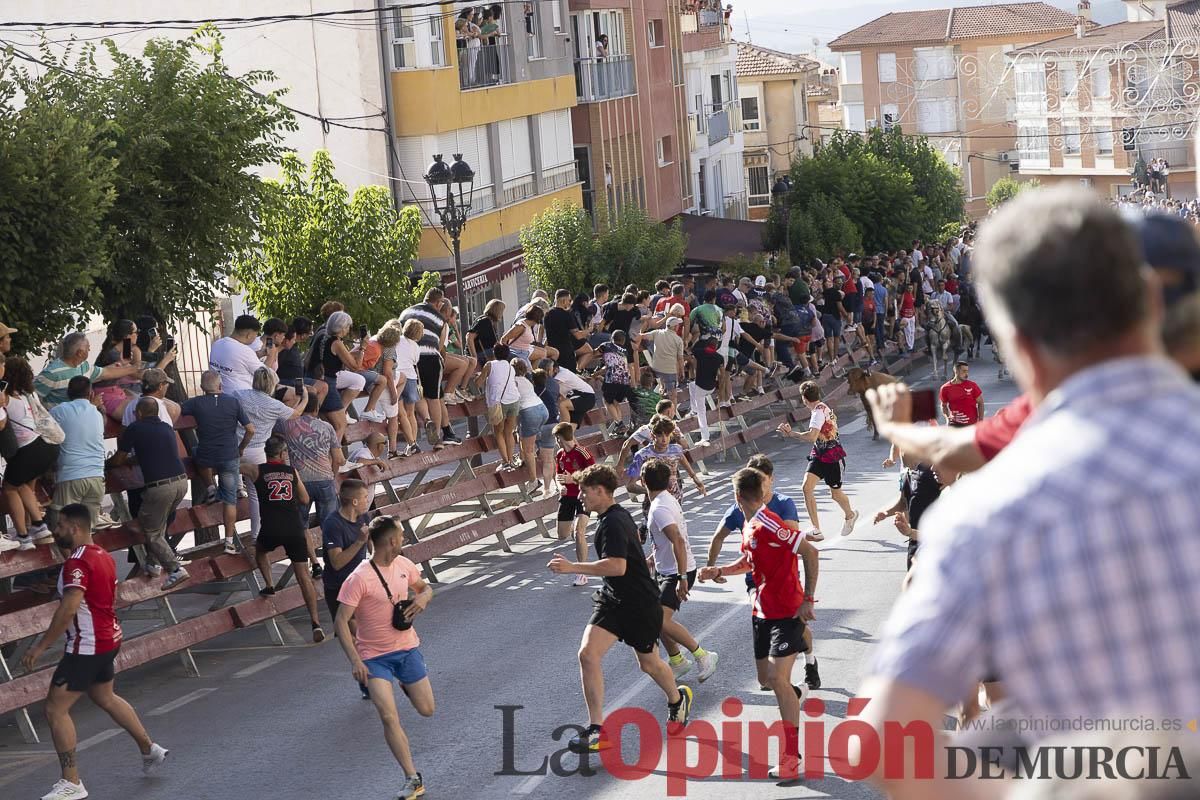 Primer encierro de las Fiestas de Moratalla