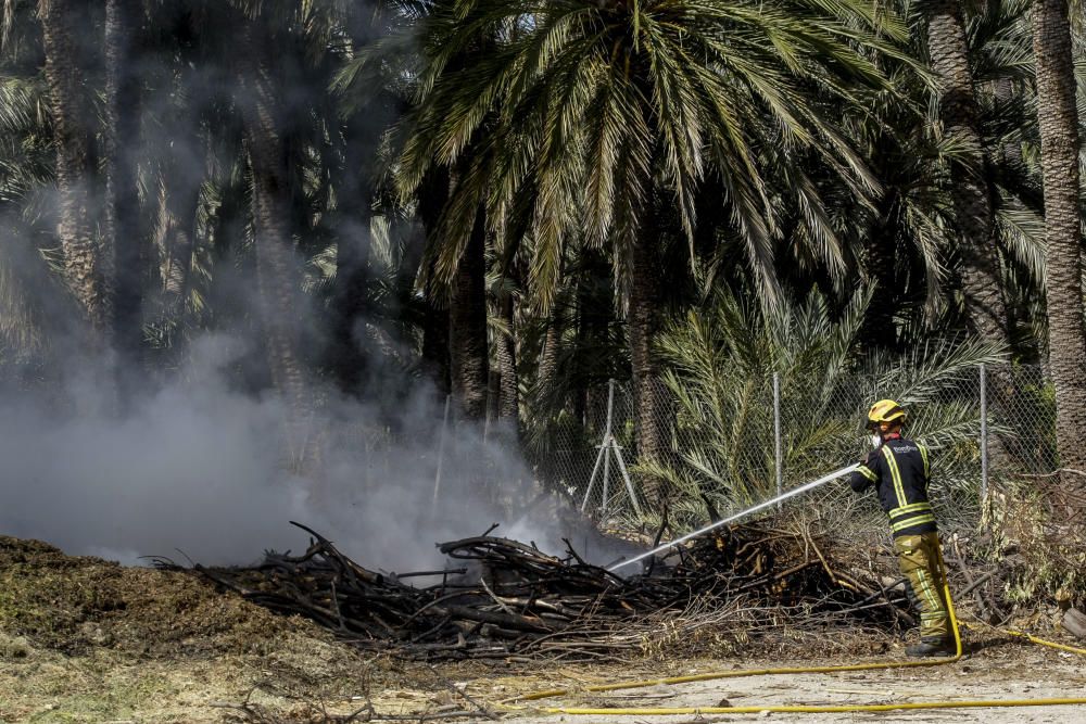 Fuego en el Palmeral de Elche