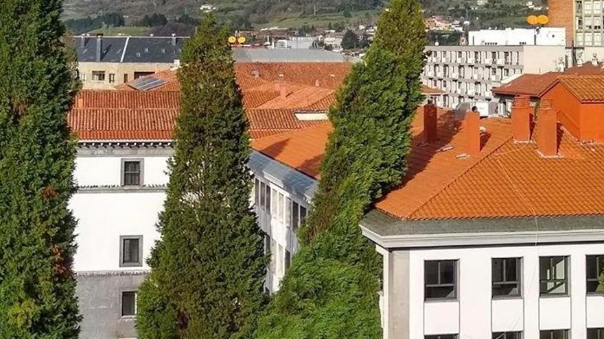 Un árbol sobre un edificio en Oviedo.