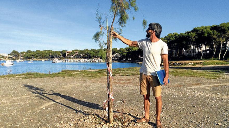 Ein Baum als Zeichen: „Salvem Portocolom&quot;-Aktivist Orestes Pérez Jaume und seine einsame Tamarinde. Bald soll eine weitere dazu kommen