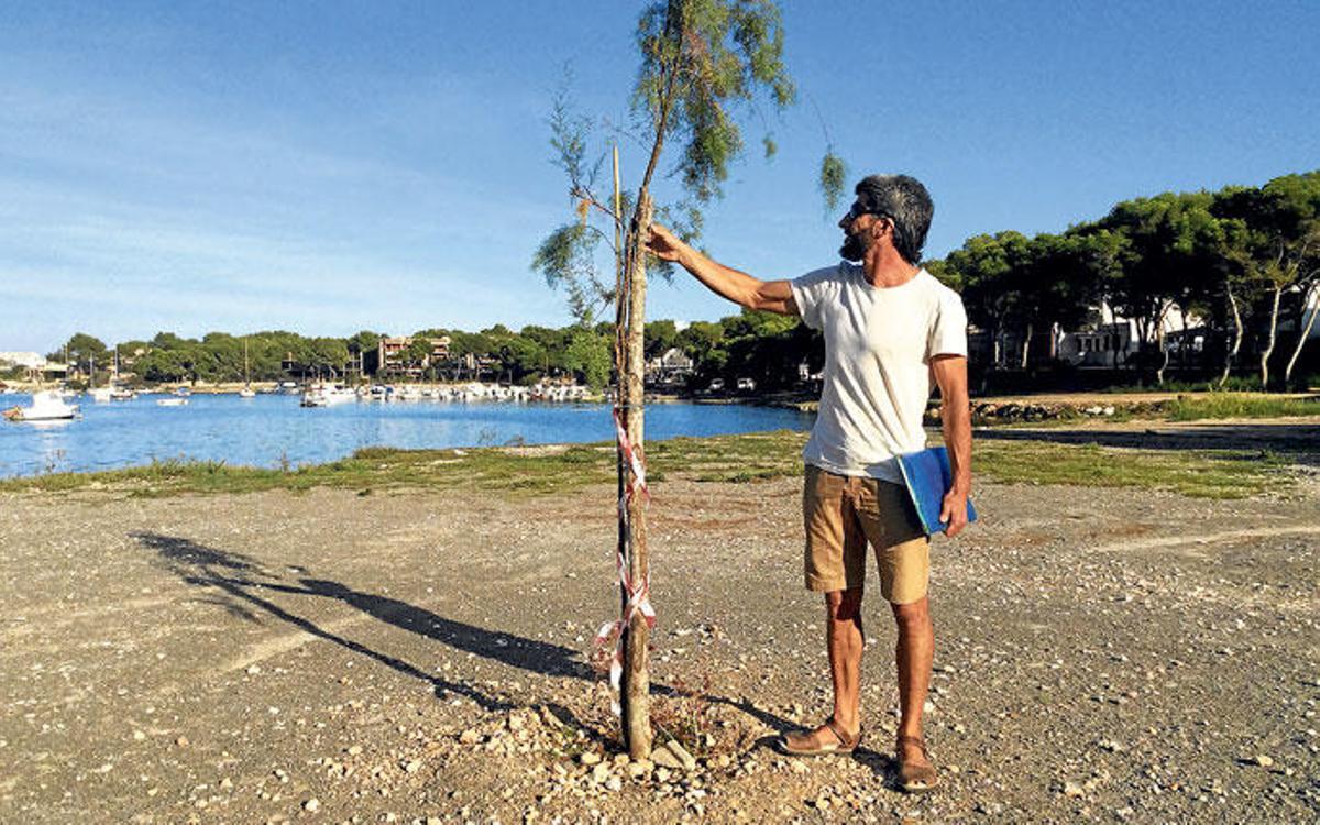 Ein Baum als Zeichen: „Salvem Portocolom"-Aktivist Orestes Pérez Jaume und seine einsame Tamarinde. Bald soll eine weitere dazu kommen
