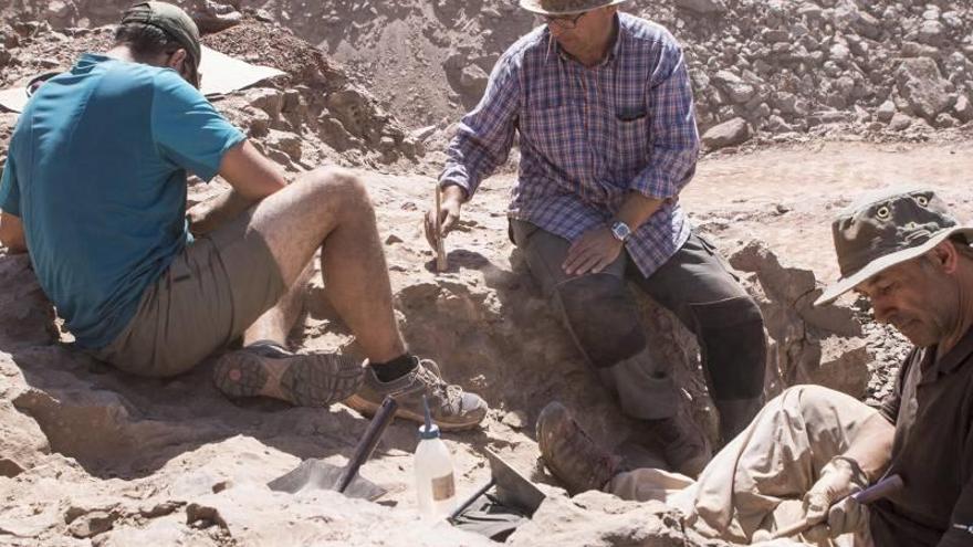Hallan un nuevo yacimiento paleontológico en la cantera del Mas de la Parreta de Morella