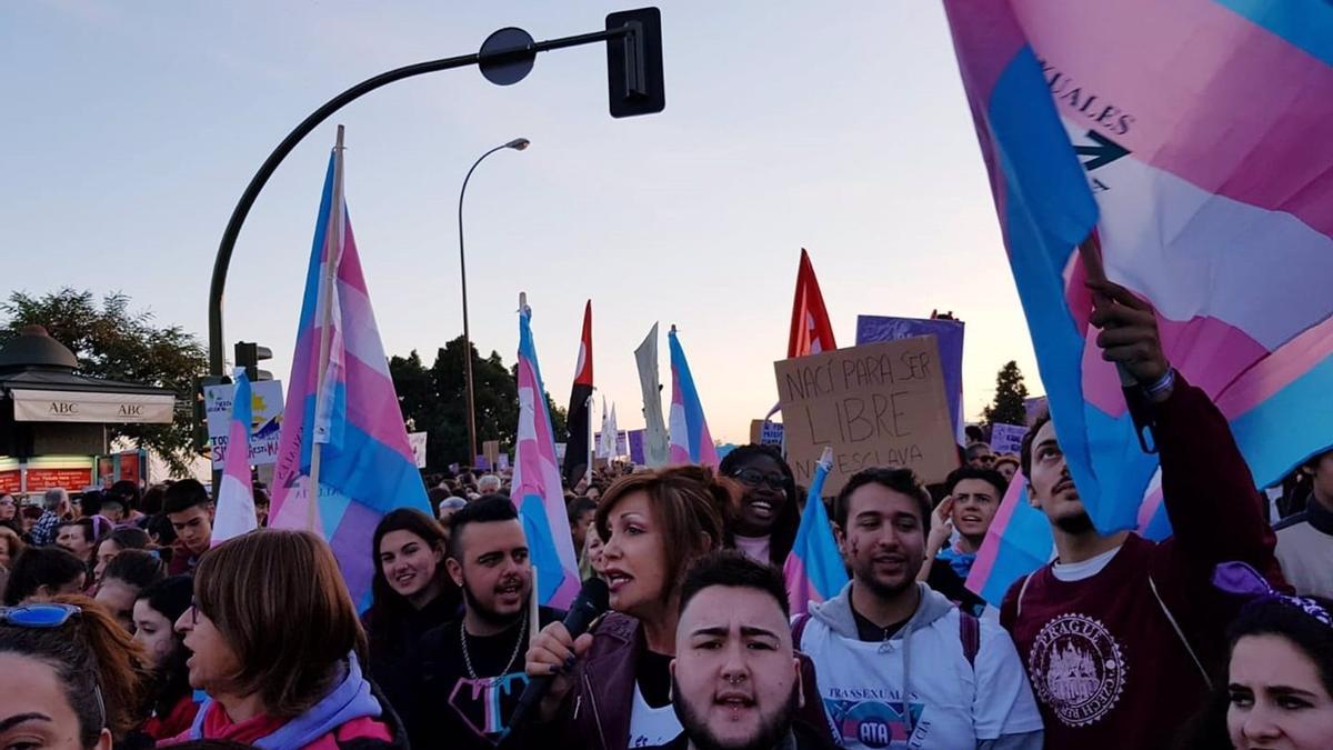 Una manifestación con banderas trans.