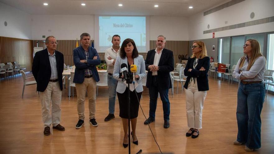 La Mesa de Cítricos de Palma del Río confirma una campaña 