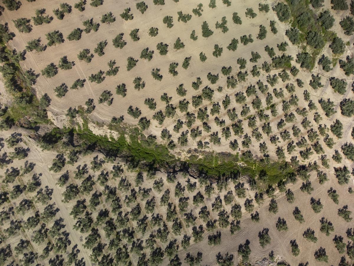 El desafío de curar las heridas del suelo, de Alejando Muñoz Fernández