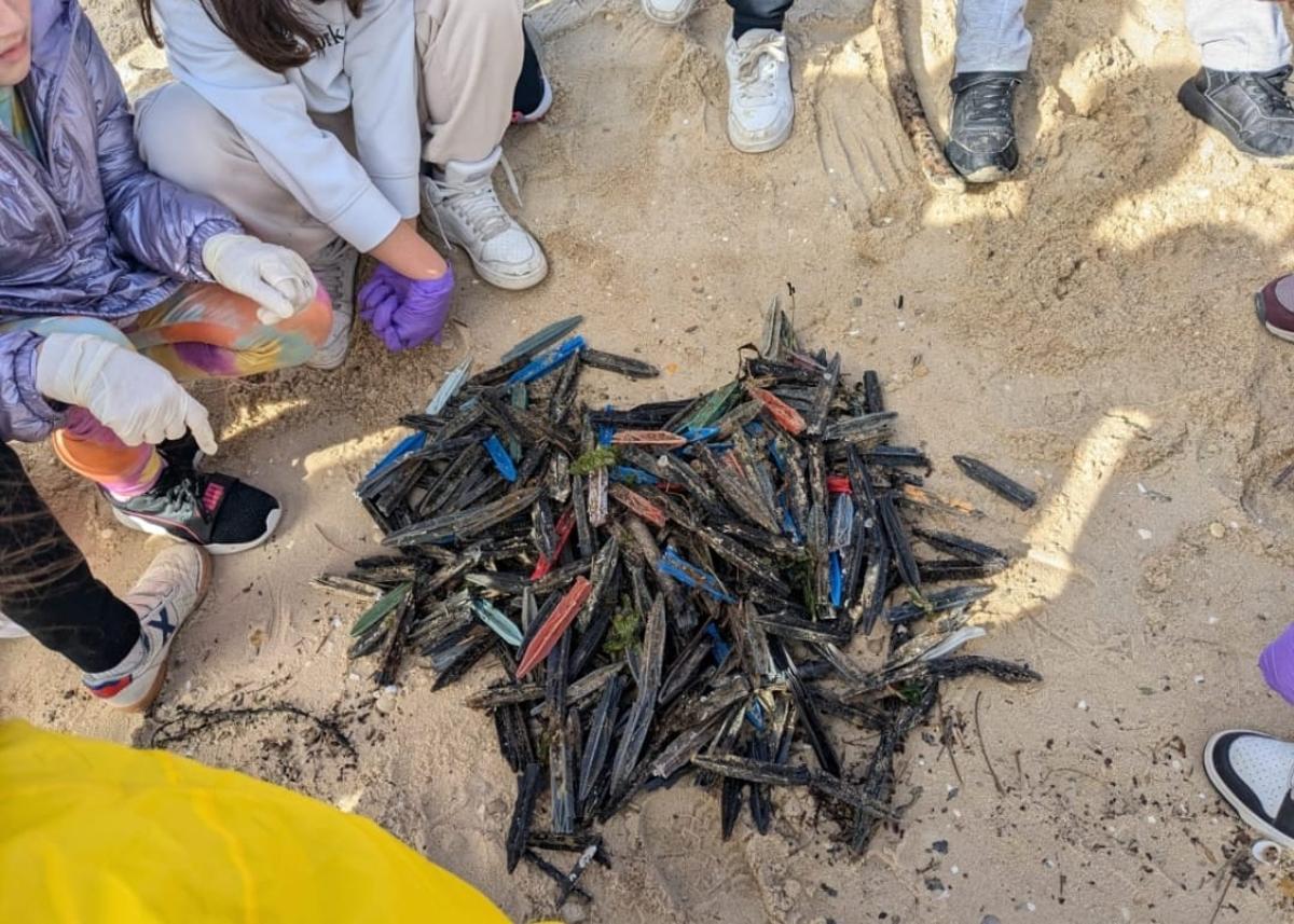Los voluntarios también encontraron palos de batea en las playas de A Illa de Arousa