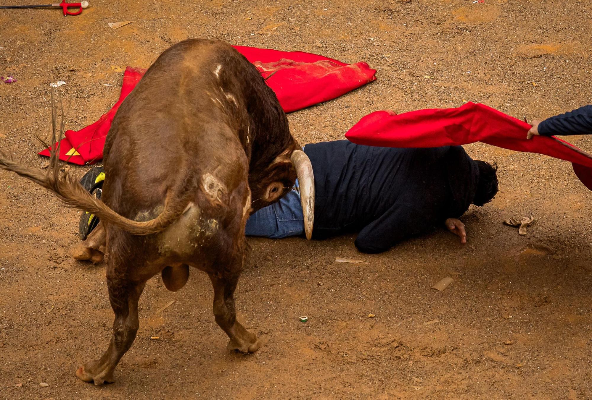 GALERÍA: El encierro a caballo del Carnaval del Toro, en imágenes