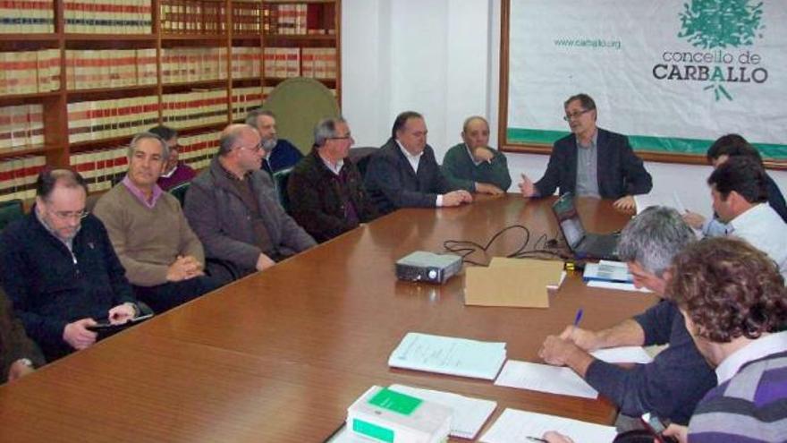 Miembros de la comisión de deslinde, ayer, durante la reunión en el Concello de Carballo. / la opinión