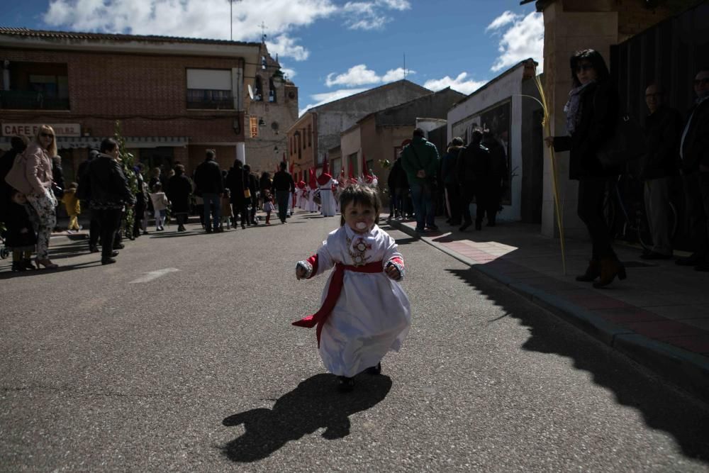 Semana Santa 2018: Procesión de palmas Villaralbo