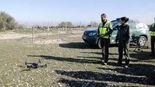 Catalunya usa inteligencia artificial para controlar la superpoblación de conejos en Lleida