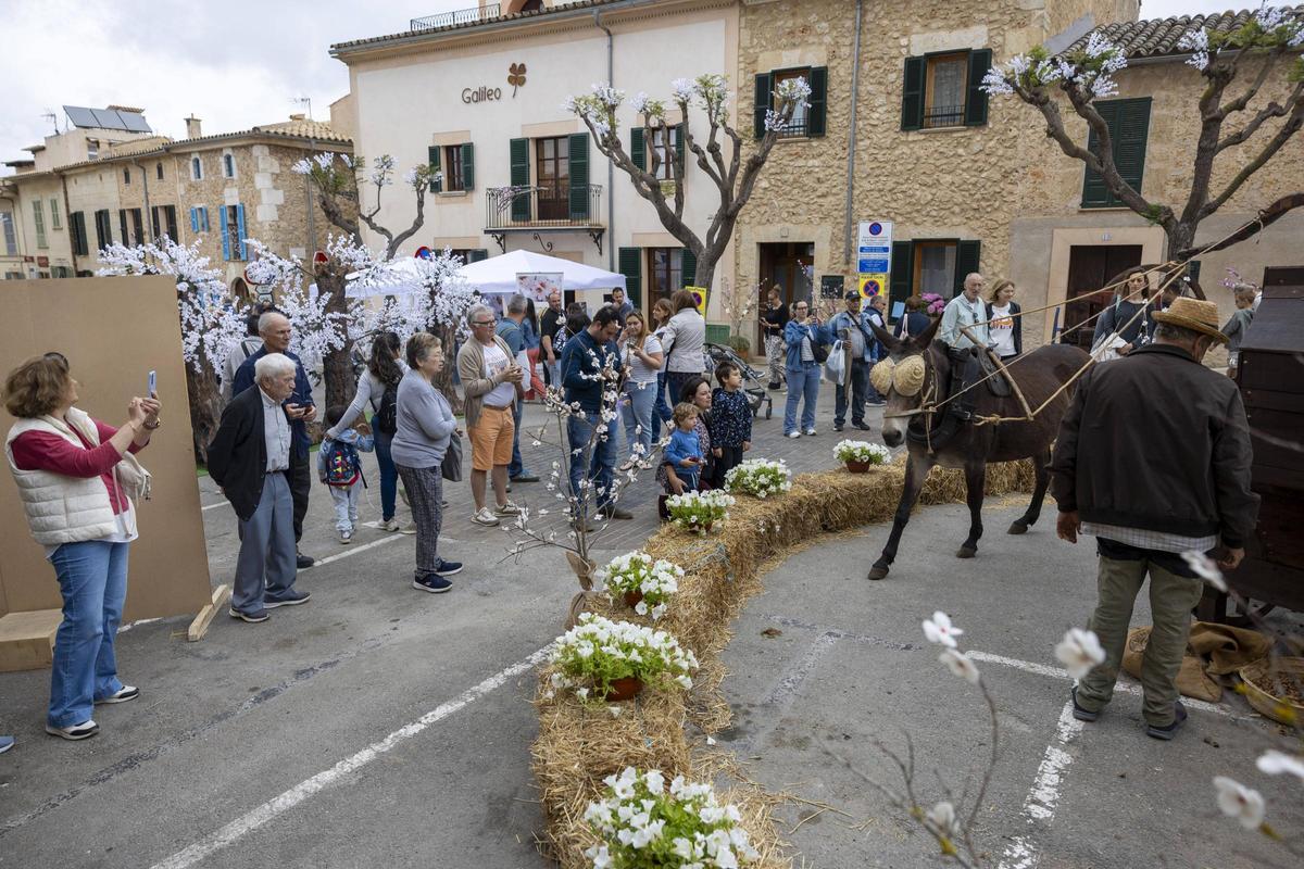 Las mejores imágenes de la Fira de les Flors de Costitx