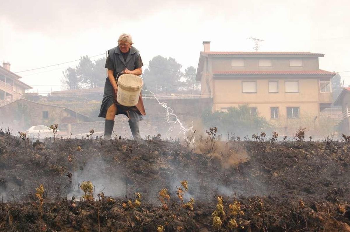 Un frente de 10 kilómetros desde Ponteareas a Soutomaior  |  Una mujer intenta apagar las llamas en Pazos de Borbén.