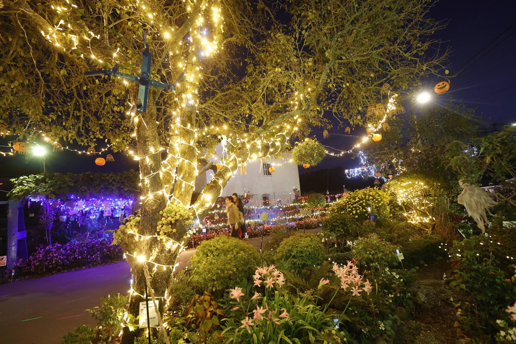 EN IMÁGENES: El Jardín de Molleda lleva a Corvera el terror de Halloween