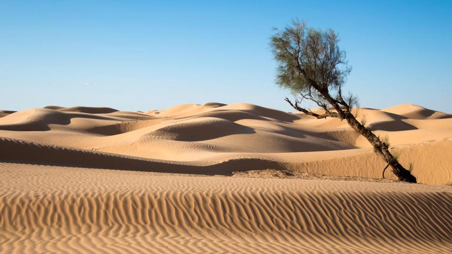 El desierto del Sáhara, en Túnez.