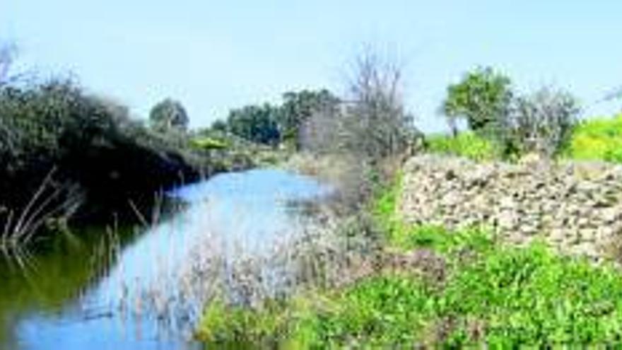 Organizan un paseo por la naturaleza el día 23