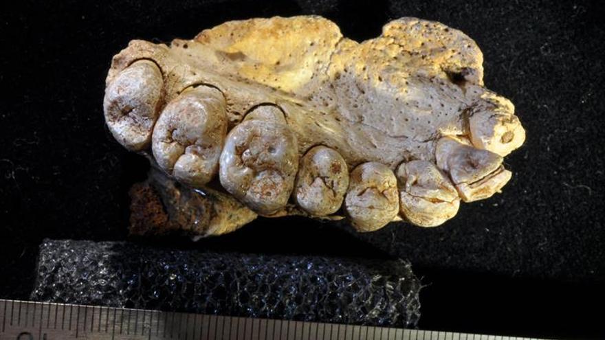 El ‘Homo sapiens’ salió de África 60.000 años antes de lo que se creía